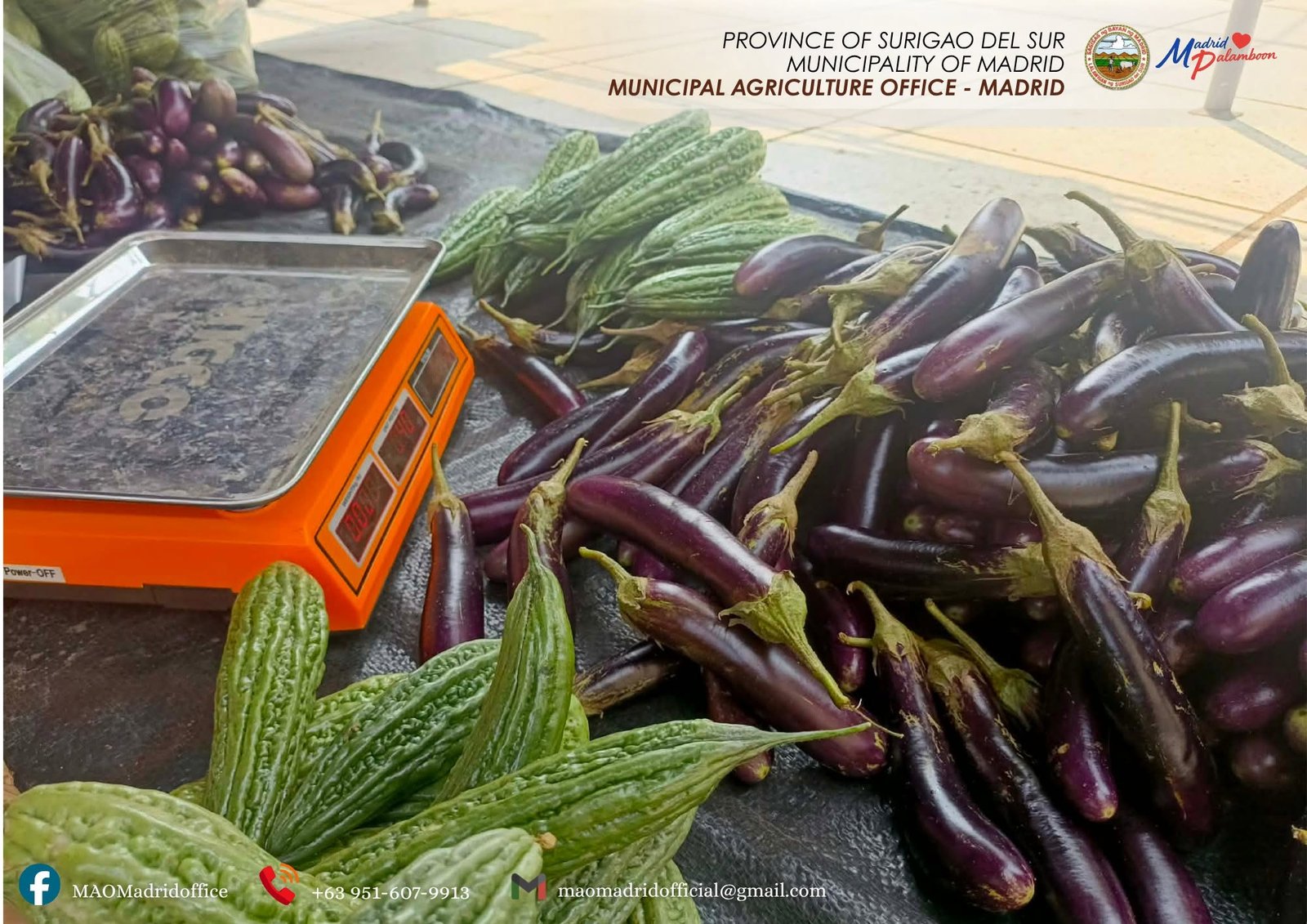 Kadiwa ng Pangulo: Tabo de Madrid